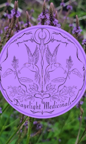Blue vervain flowering spikes with the Dayelight Medicinals seal