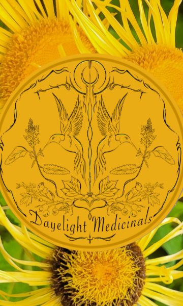 Elecampane flowers with the Dayelight Medicinals seal