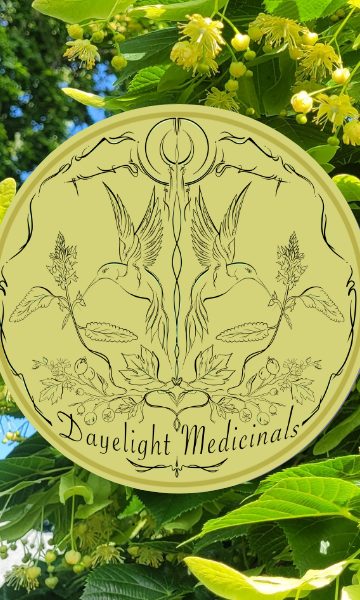 Linden flowers on the tree with the Dayelight Medicinals seal