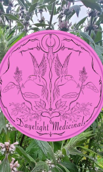 Motherwort in flower with the Dayelight Medicinals seal