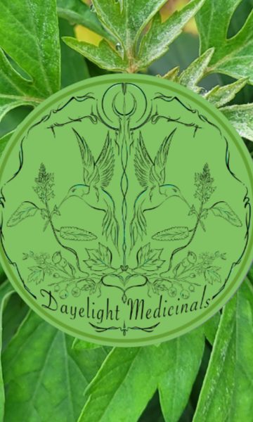 Fresh mugwort leaves with the Dayelight Medicinals seal