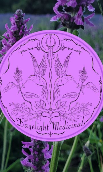 Wood betony in flower with the Dayelight Medicinals seal
